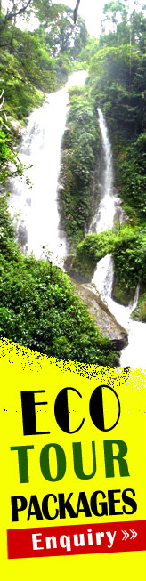 India Eco Tours