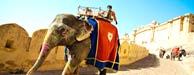 holidays in India