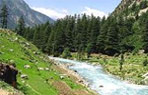 India Eco Tour