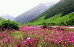 Eco Tours India