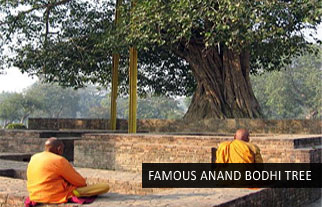 Footsteps of Buddha