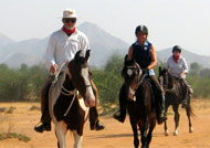 Safari Tours India
