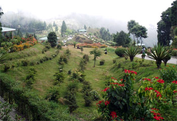 Darjeeling Gangtok Honeymoon Trip
