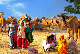 Rajasthan Forts and Palaces Trip