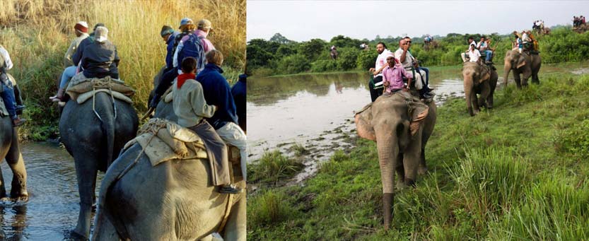 Kaziranga National Park on an elephant