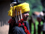 India Tribal Tours