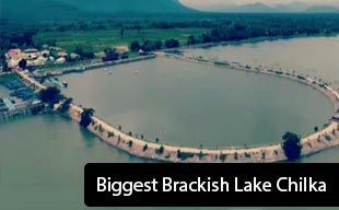 Biggest Brackish Lake Chilka