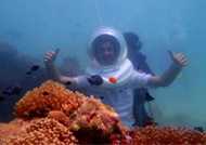 India Island Tour Packages