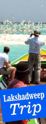 Luxury Tour Packages of India