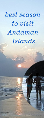 Luxury Tour Packages of India