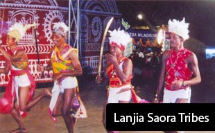 Lanjia Saora Tribes