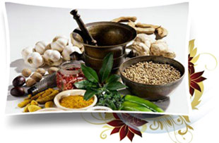 South India Ayurveda Tour