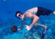 India Island Tour Packages