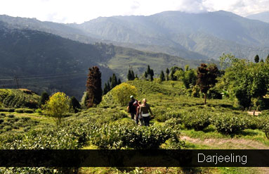 Sikkim and Darjeeling Trip
