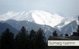 Best of Kashmir and Leh Tour