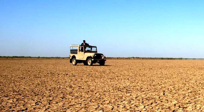 Rann of Kutch